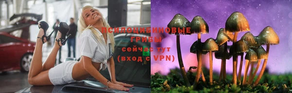 гидра Елабуга