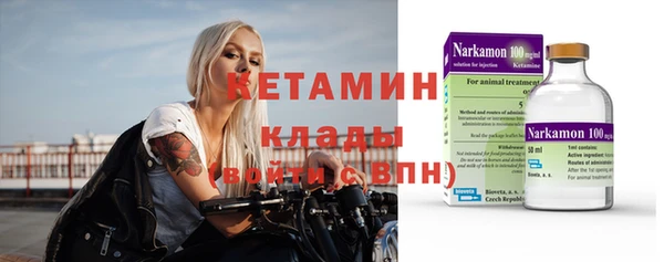 гидра Елабуга