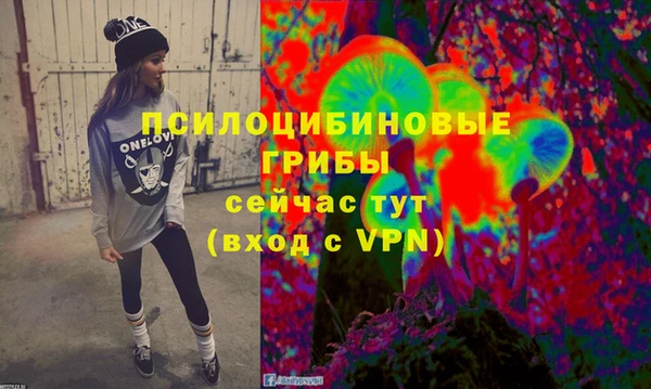 гидра Елабуга