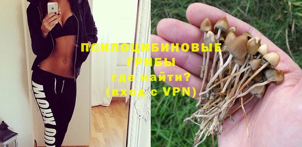 скорость mdpv Елизово